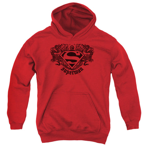 Youth Hooded Sweatshirt