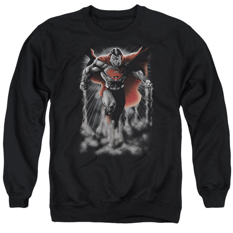 Adult Crewneck Sweatshirt