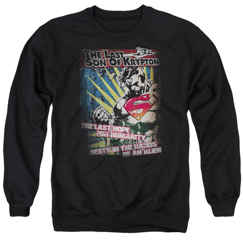 Adult Crewneck Sweatshirt