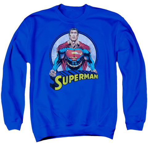 Adult Crewneck Sweatshirt