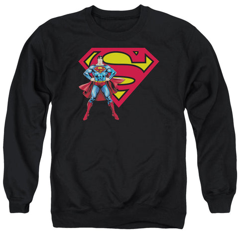 Adult Crewneck Sweatshirt