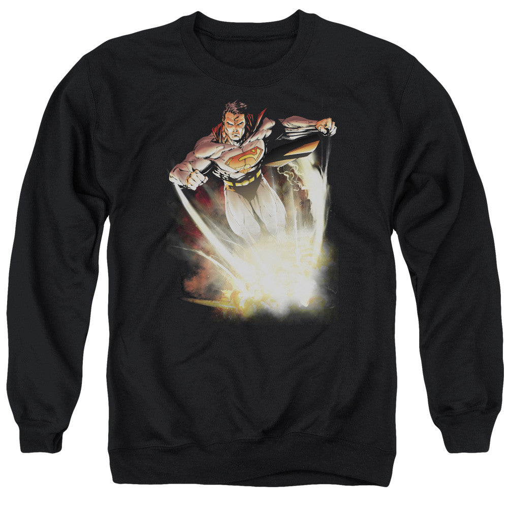Adult Crewneck Sweatshirt