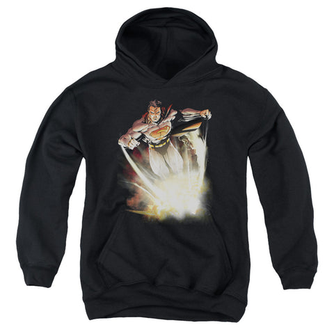 Youth Hooded Sweatshirt