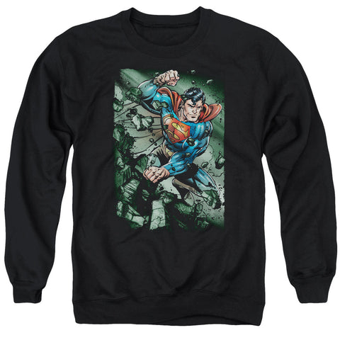 Adult Crewneck Sweatshirt