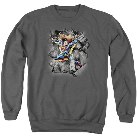 Adult Crewneck Sweatshirt
