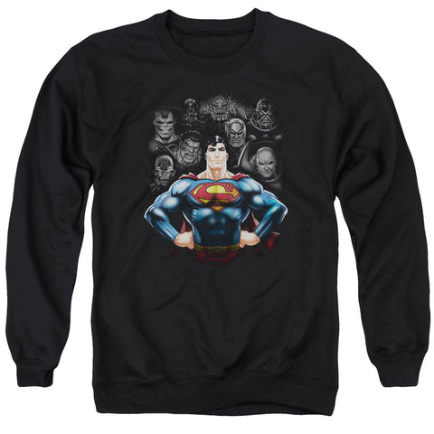 Adult Crewneck Sweatshirt