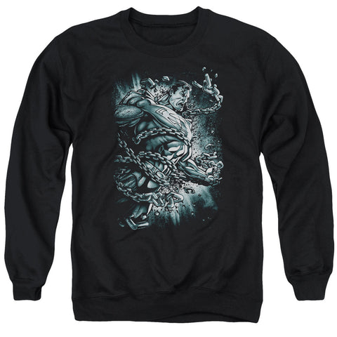 Adult Crewneck Sweatshirt