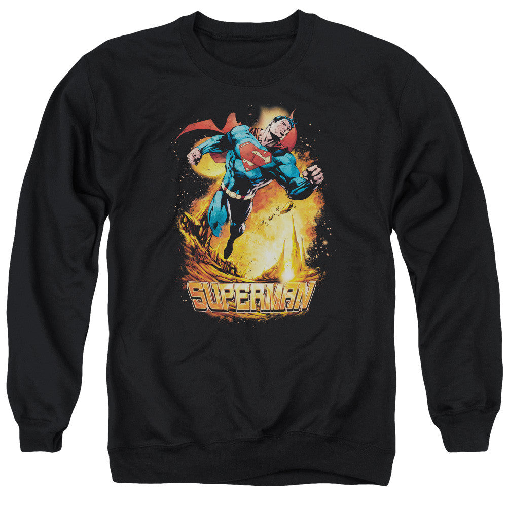 Adult Crewneck Sweatshirt