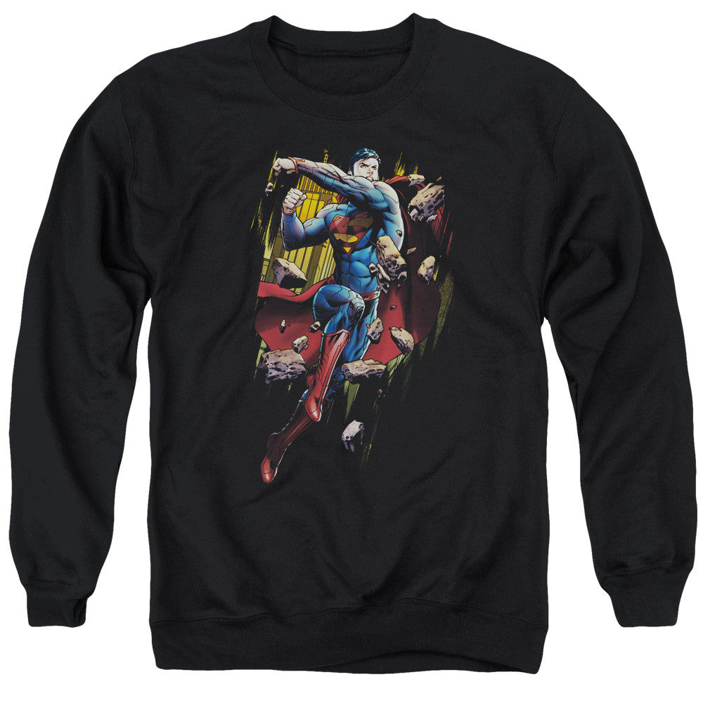 Adult Crewneck Sweatshirt