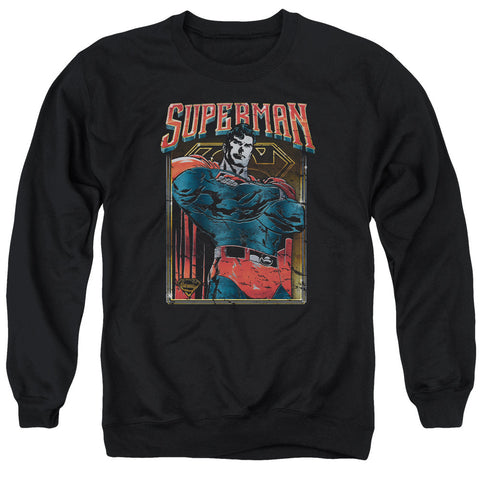 Adult Crewneck Sweatshirt