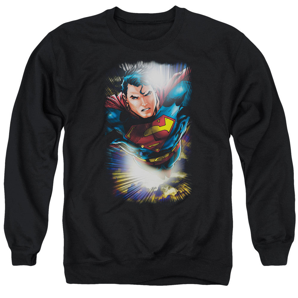 Adult Crewneck Sweatshirt