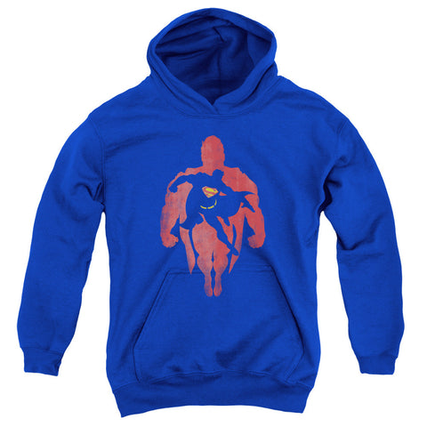 Youth Hooded Sweatshirt