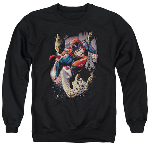 Adult Crewneck Sweatshirt