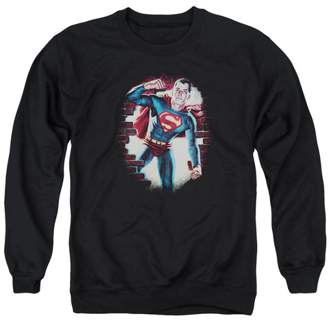 Adult Crewneck Sweatshirt