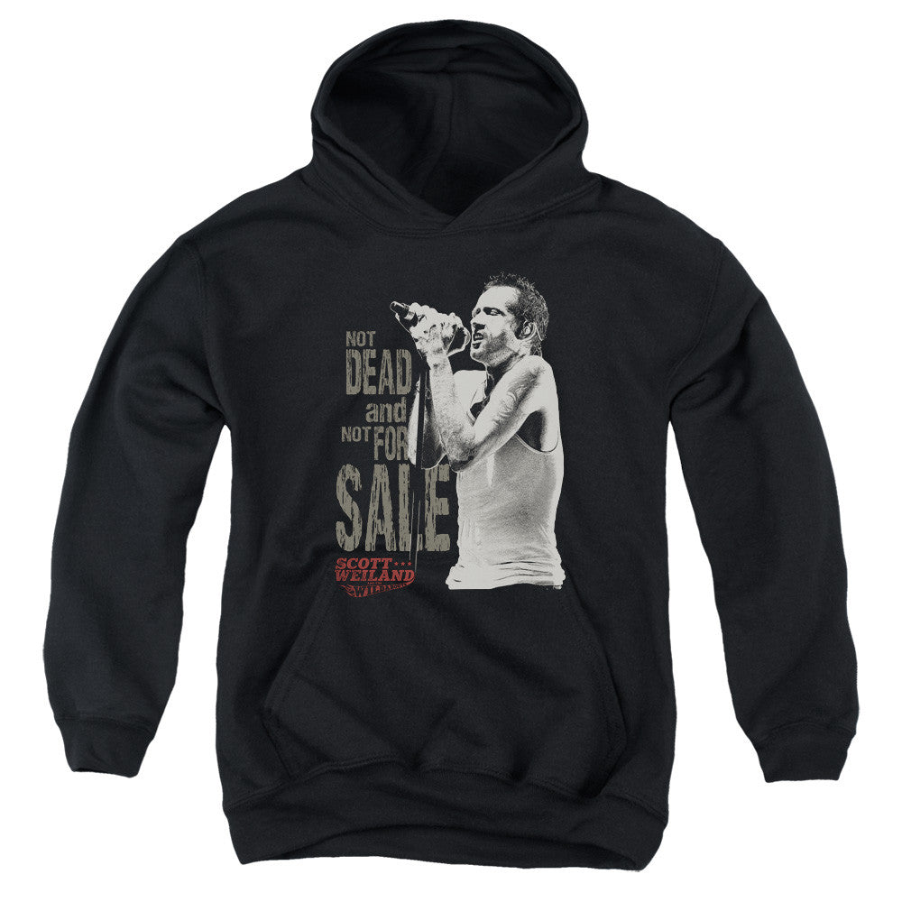 Youth Hooded Sweatshirt