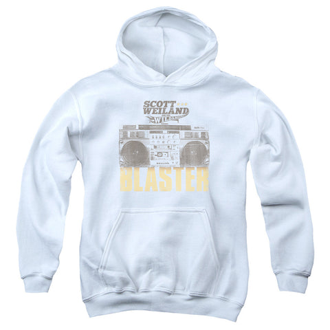 Youth Hooded Sweatshirt