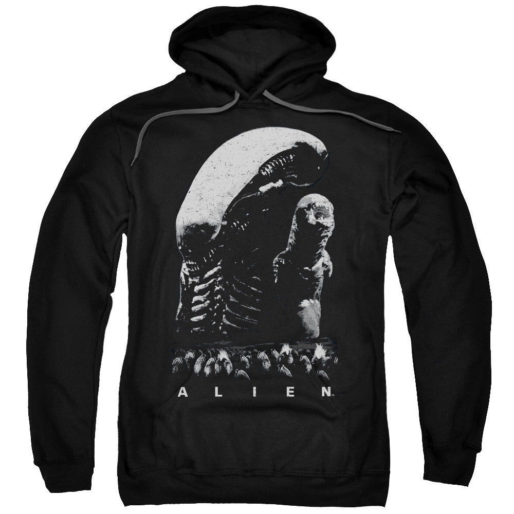 Adult Pull-Over Hoodie