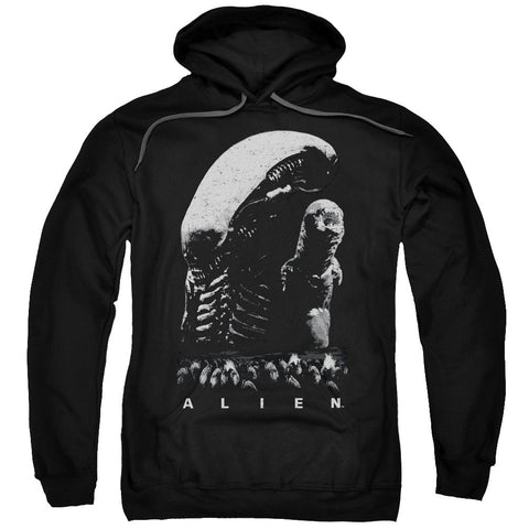 Adult Pull-Over Hoodie
