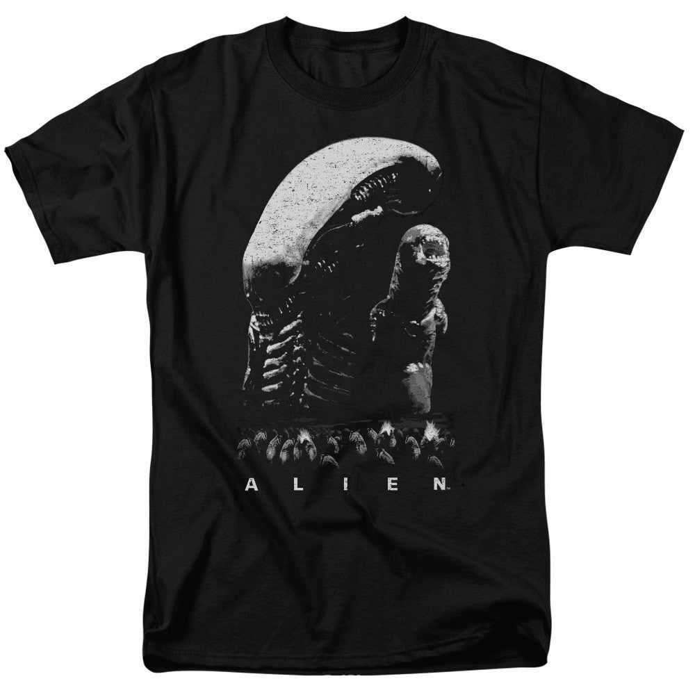 Adult Regular Fit Short Sleeve