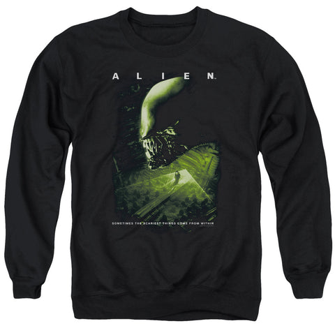 Adult Crewneck Sweatshirt