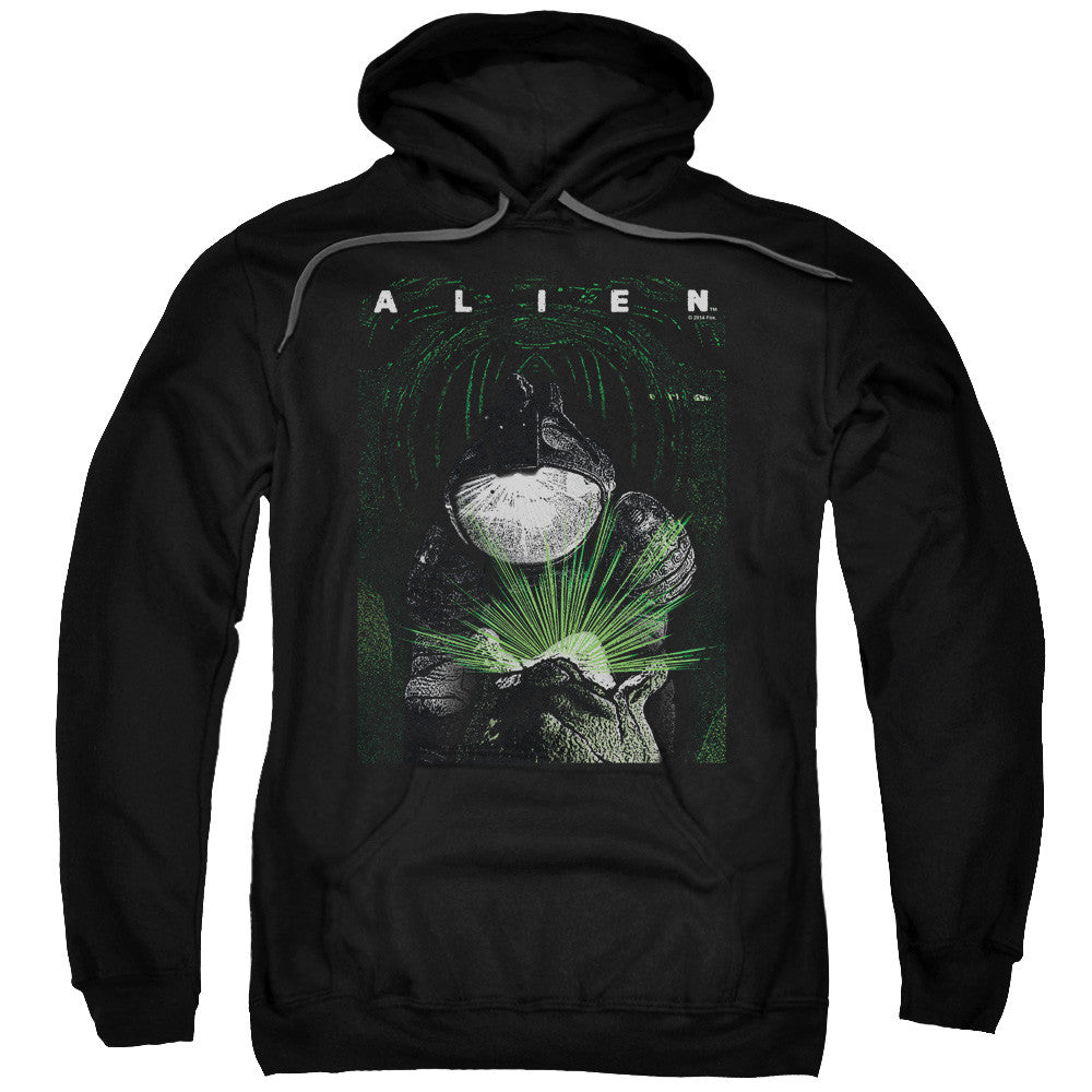 Adult Pull-Over Hoodie