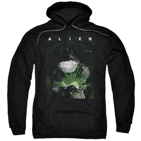 Adult Pull-Over Hoodie