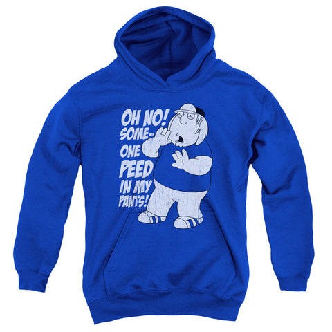Youth Hooded Sweatshirt