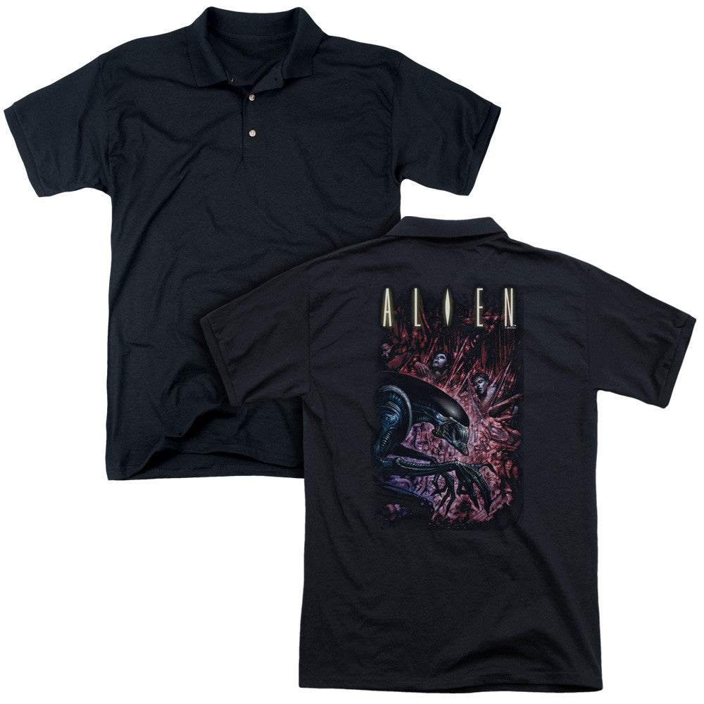 Adult Polo