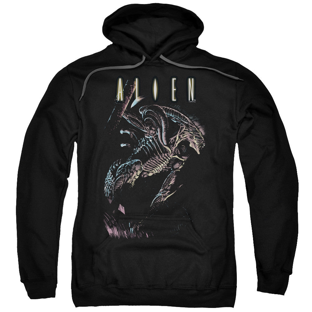 Adult Pull-Over Hoodie