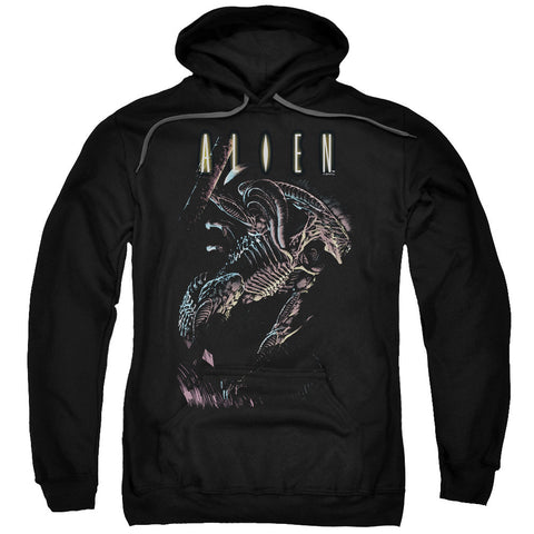Adult Pull-Over Hoodie