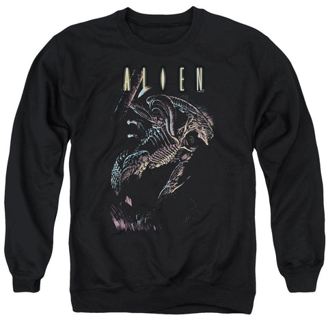 Adult Crewneck Sweatshirt