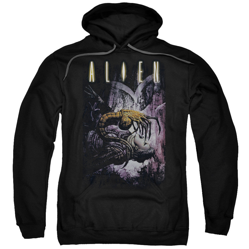 Adult Pull-Over Hoodie