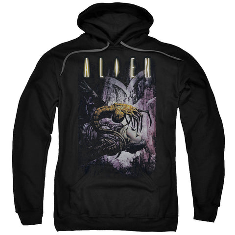 Adult Pull-Over Hoodie