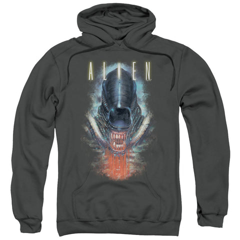 Adult Pull-Over Hoodie