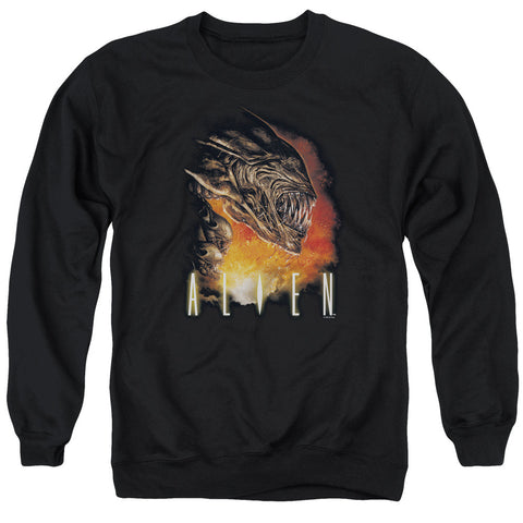 Adult Crewneck Sweatshirt