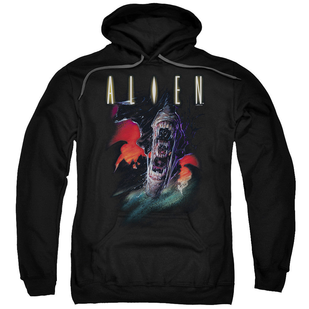 Adult Pull-Over Hoodie