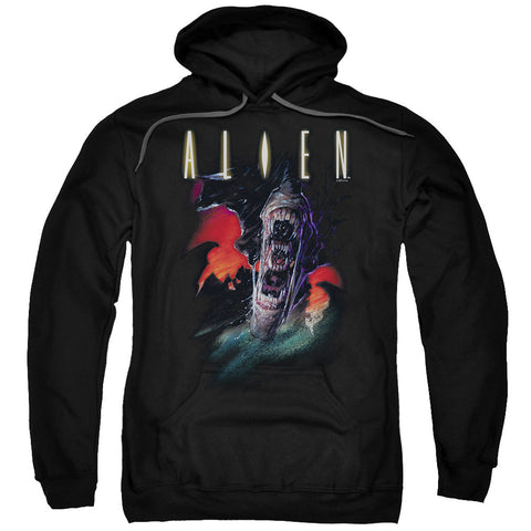 Adult Pull-Over Hoodie