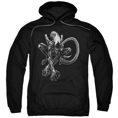Adult Pull-Over Hoodie