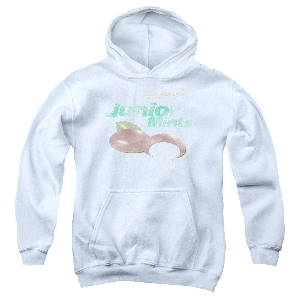 Youth Hooded Sweatshirt