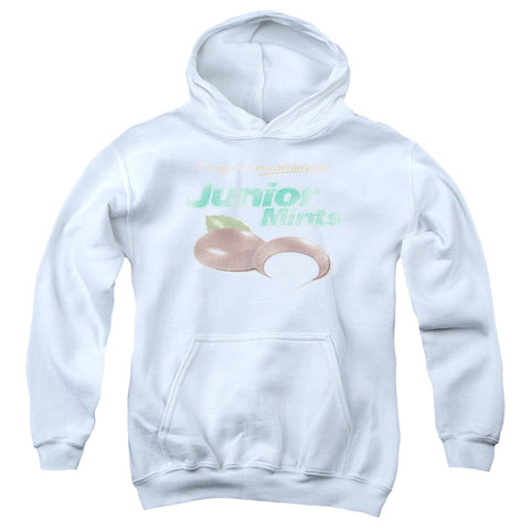 Youth Hooded Sweatshirt