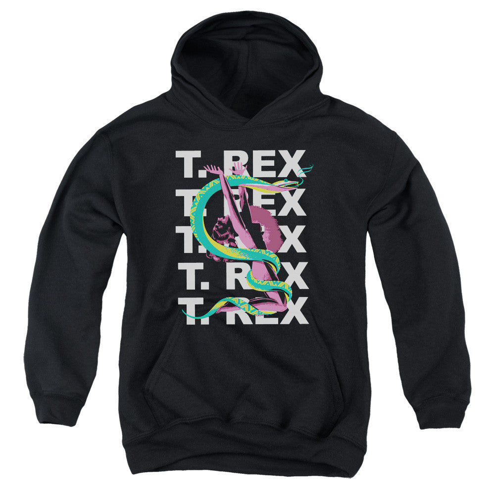 Youth Hooded Sweatshirt