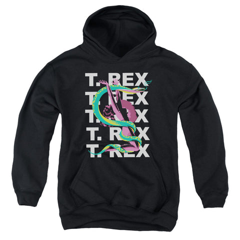 Youth Hooded Sweatshirt