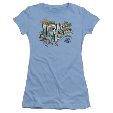 Juniors Sheer Cap Sleeve