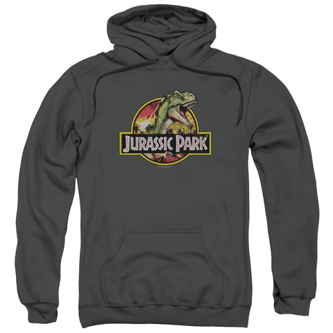 Adult Pull-Over Hoodie