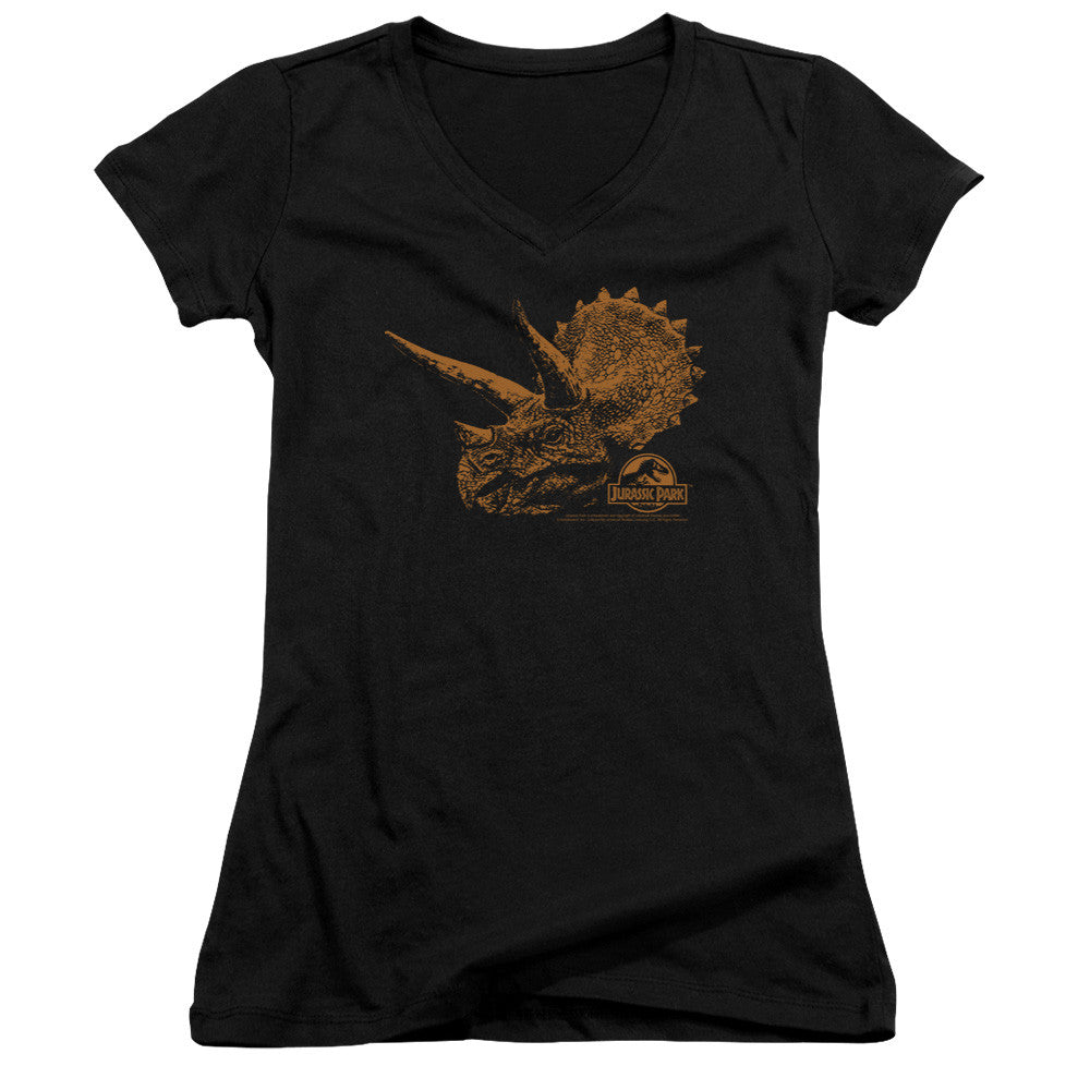 Juniors Sheer Cap Sleeve V-Neck