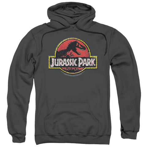 Adult Pull-Over Hoodie