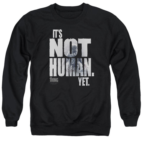 Adult Crewneck Sweatshirt