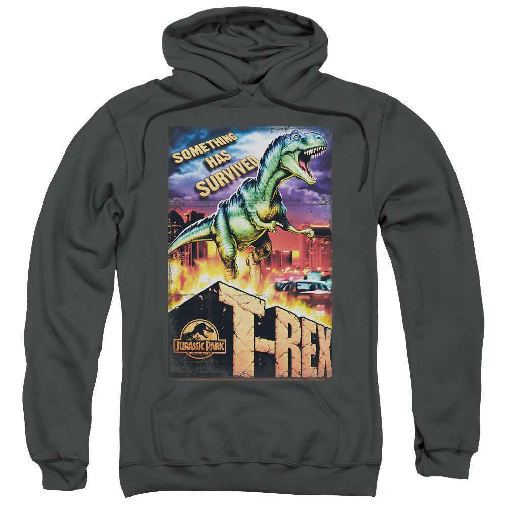 Adult Pull-Over Hoodie