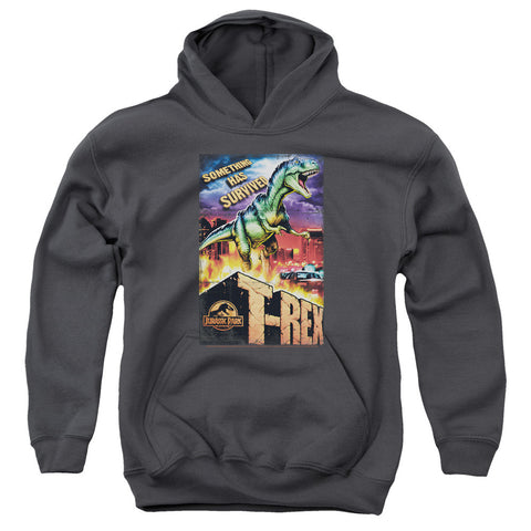 Youth Hooded Sweatshirt