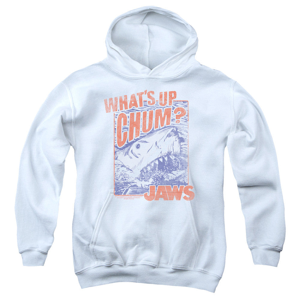Youth Hooded Sweatshirt
